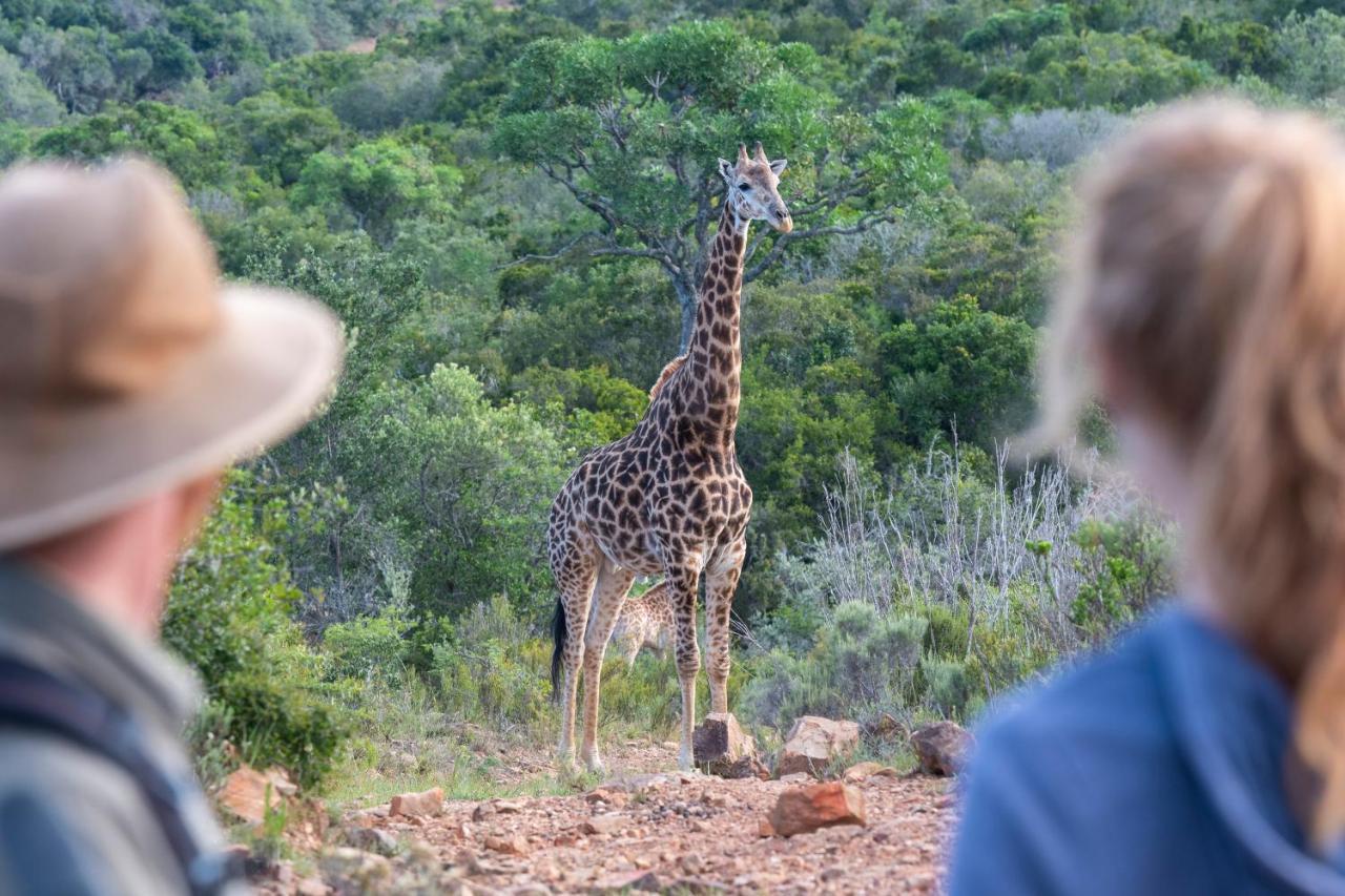 Apartmán Waggi Mountain Escape Addo Exteriér fotografie